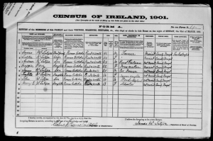 Census of Ireland 1901/1911. The National Archives of Ireland. http://www.census.nationalarchives.ie/search/: accessed 18 August 2015.